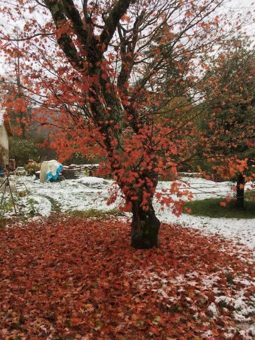 Вилла Lerable Pourpre De La Grotte Au Lion Arbon Экстерьер фото